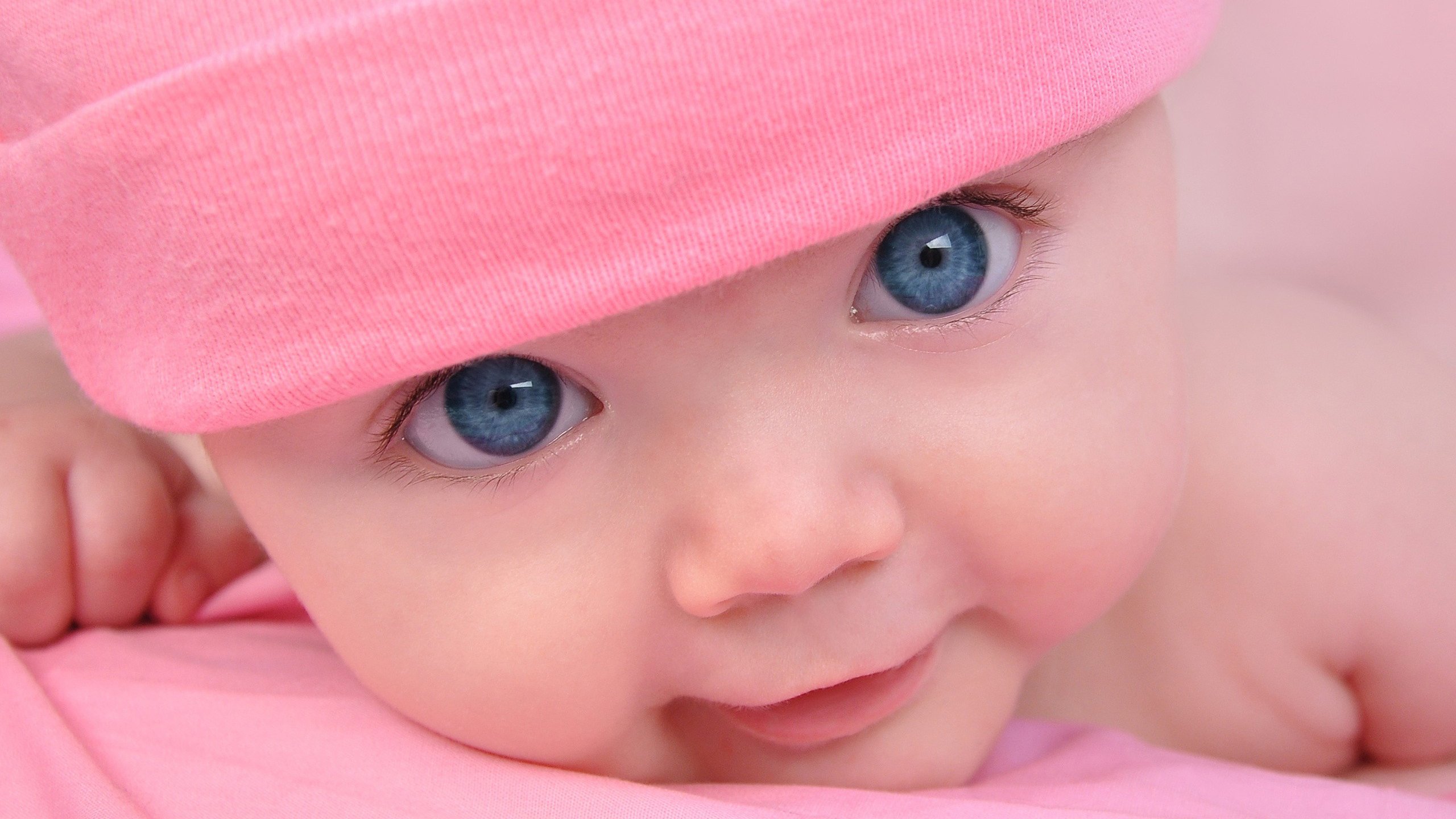 供卵助孕试管婴儿短期方案的卵泡